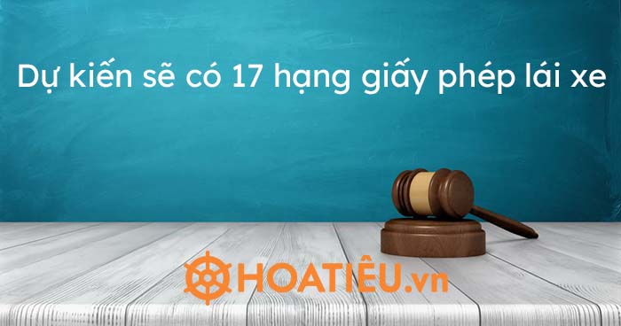 17 hạng giấy phép lái xe theo Dự thảo Luật Giao thông đường bộ sửa đổi