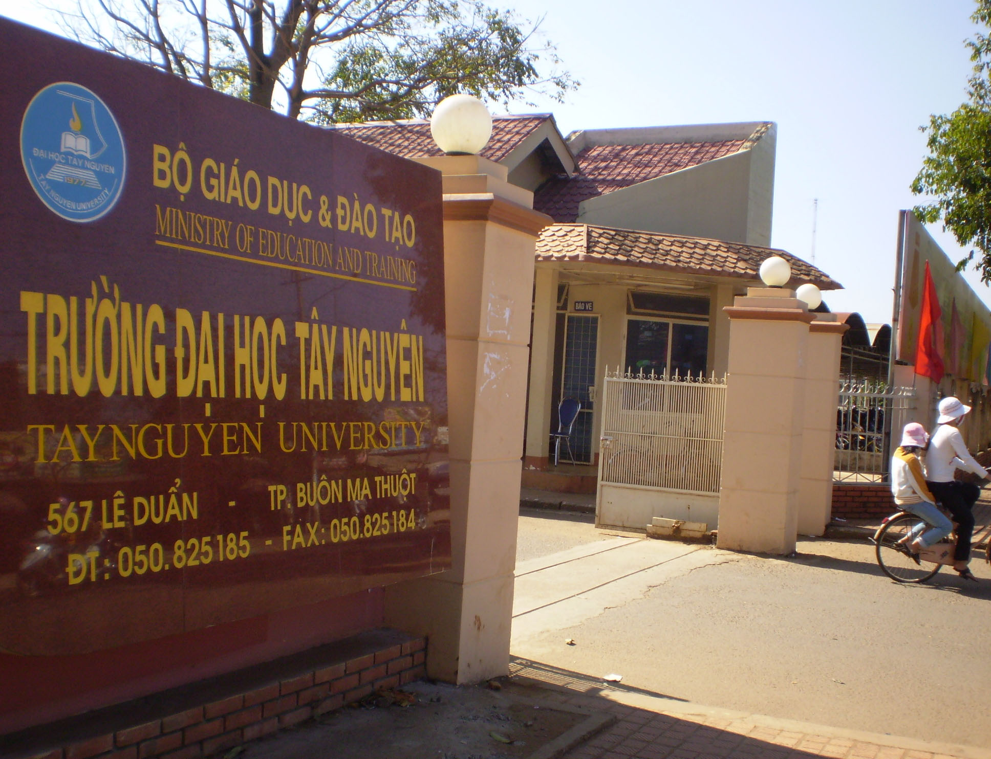 Trường Đại học Tây Nguyên dự kiến tuyển sinh 3.340 chỉ tiêu đại học chính quy