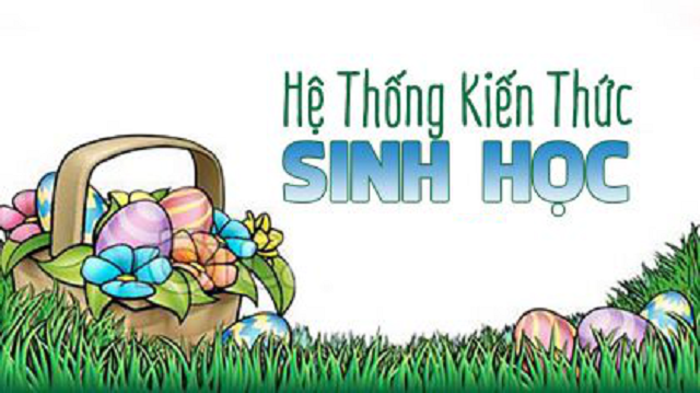 Toàn bộ công thức Sinh học 12