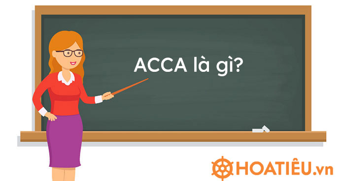ACCA là gì?
