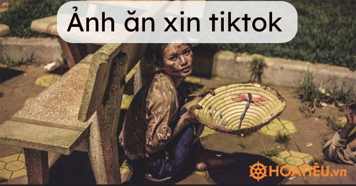 Ảnh ăn xin tiktok