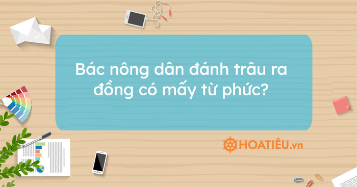 Bác nông dân đánh trâu ra đồng có mấy từ phức?
