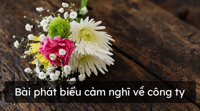Bài phát biểu cảm nghĩ về công ty