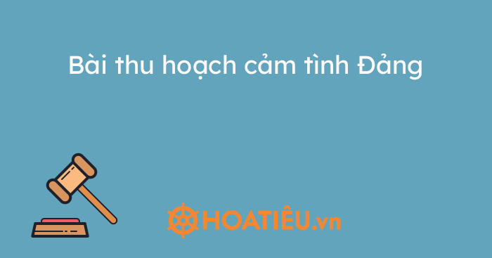 Bài thu hoạch cảm tình Đảng năm 2021