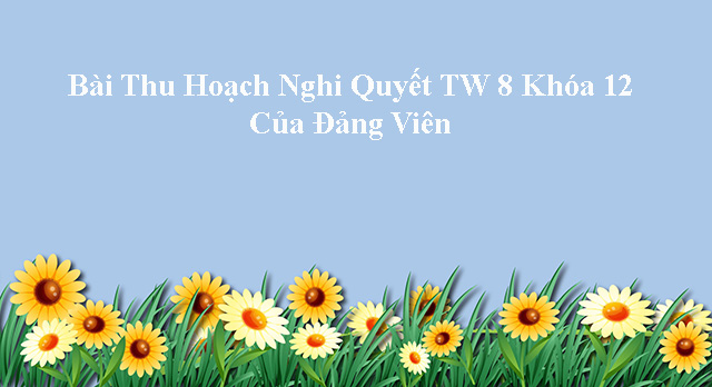 Bài thu hoạch nghị quyết TW 8 khóa 12 của Đảng viên