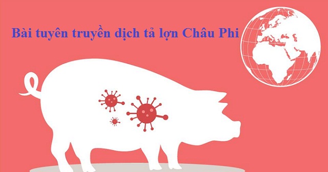 Bài tuyên truyền về bệnh dịch tả lợn Châu Phi