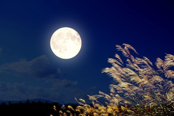 Cảm nhận vẻ đẹp tâm hồn Bác qua bài thơ ngắm trăng