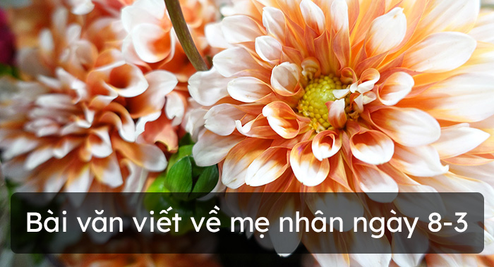 Bài văn viết về mẹ nhân ngày 8-3