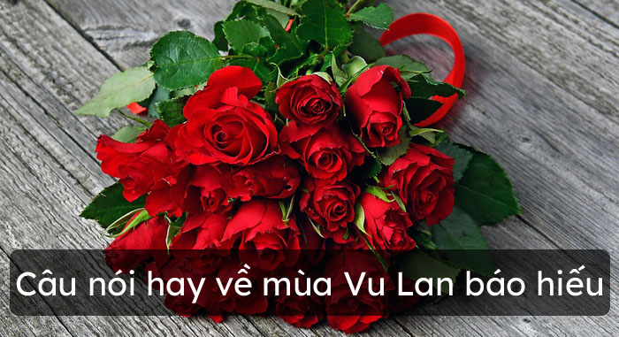 Câu nói hay về mùa Vu Lan báo hiếu