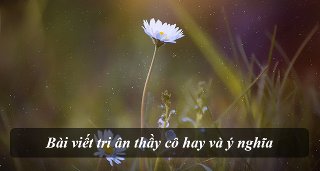 Bài viết tri ân thầy cô hay và ý nghĩa nhất