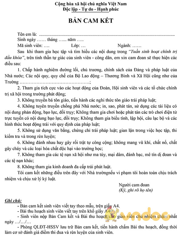 Bản cam kết