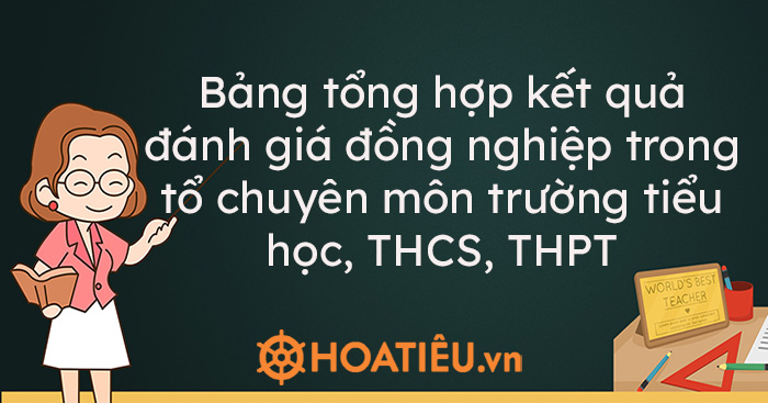 Bảng tổng hợp kết quả đánh giá đồng nghiệp trong tổ chuyên môn trường tiểu học, THCS, THPT