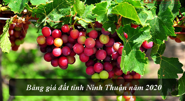Bảng giá đất tỉnh Ninh Thuận năm 2020