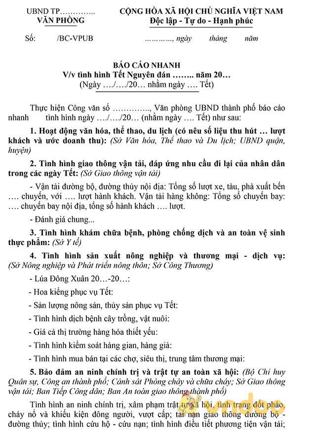 báo cáo tết