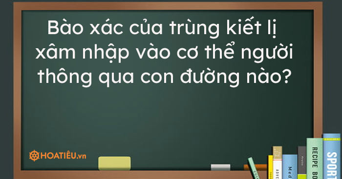 Bào xác của trùng kiết lị xâm nhập vào cơ thể người thông qua con đường nào?
