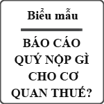 Báo cáo quý nộp gì cho cơ quan thuế?