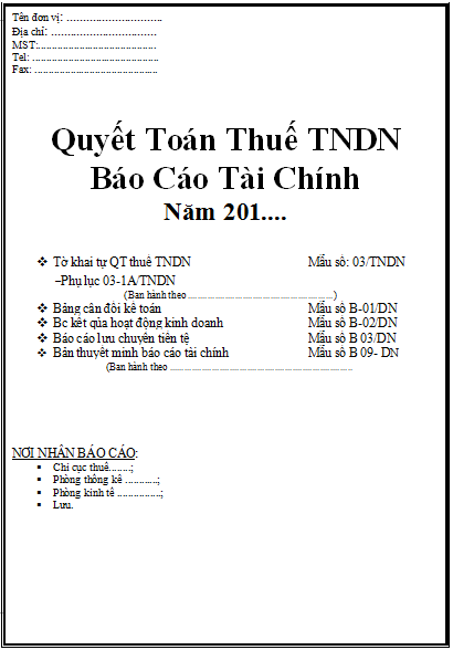 Bìa báo cáo tài chính