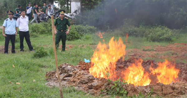 Biên bản tiêu hủy tang vật, phương tiện vi phạm hành chính trong lĩnh vực giao thông