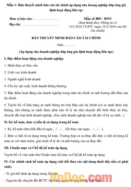 Mẫu thuyết minh báo cáo tài chính