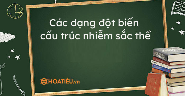 Các dạng đột biến cấu trúc nhiễm sắc thể