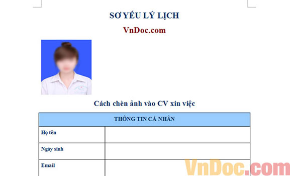 Cách chèn ảnh vào CV xin việc