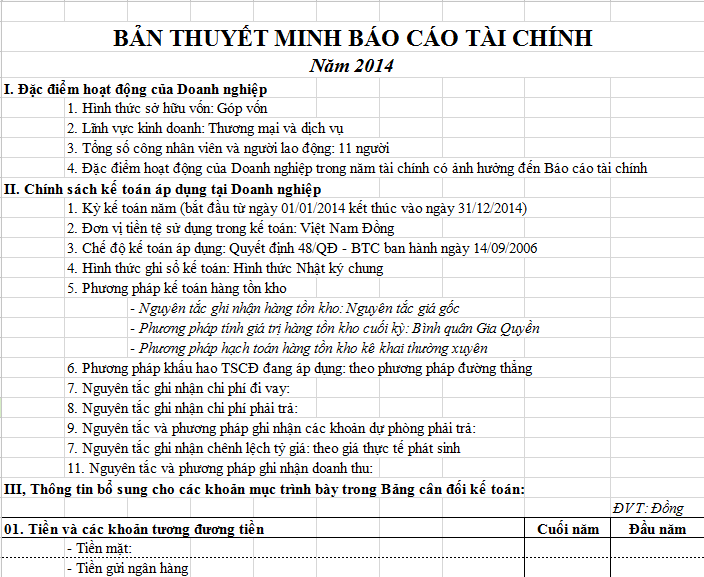 Mẫu bản thuyết minh báo cáo tài chính - Mẫu B09-DNN