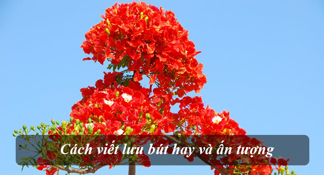 Cách viết lưu bút hay và ấn tượng