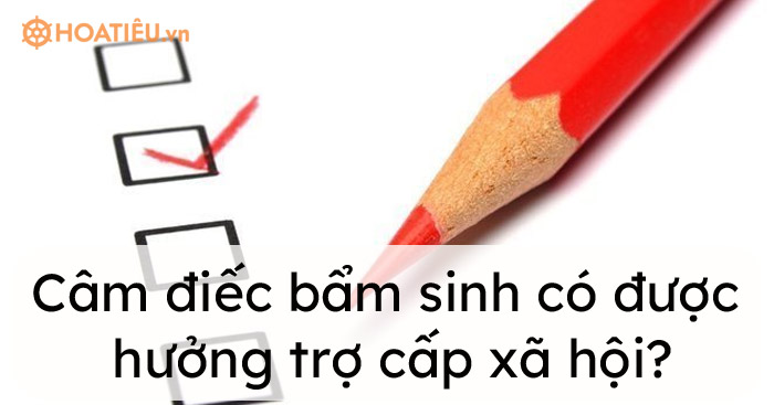 Câm điếc bẩm sinh có được hưởng trợ cấp xã hội?