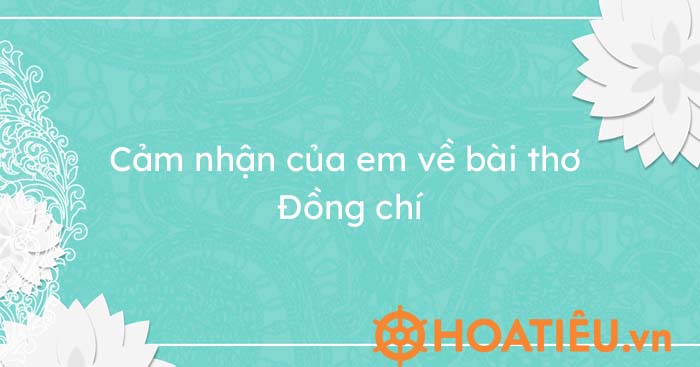 Top 4 mẫu cảm nhận bài thơ Đồng Chí hay chọn lọc