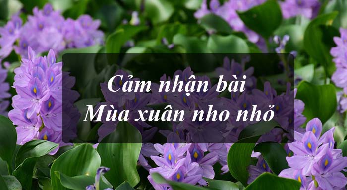 Top 8 mẫu cảm nhận của em về bài thơ Mùa xuân nho nhỏ siêu hay