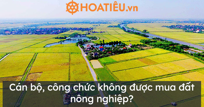 Cán bộ, công chức không được mua đất nông nghiệp?