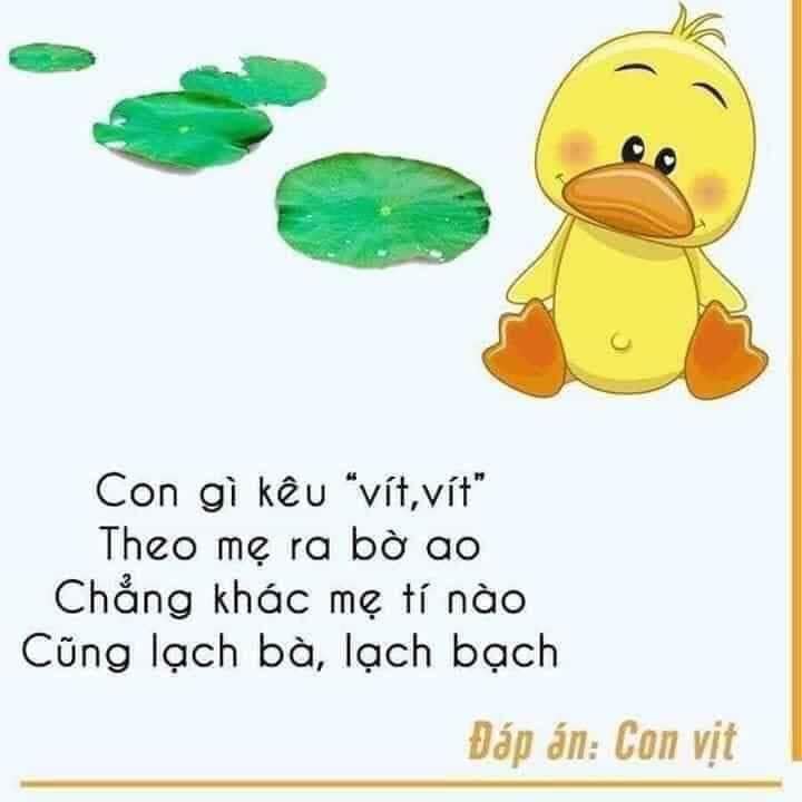 Câu đố các con vật