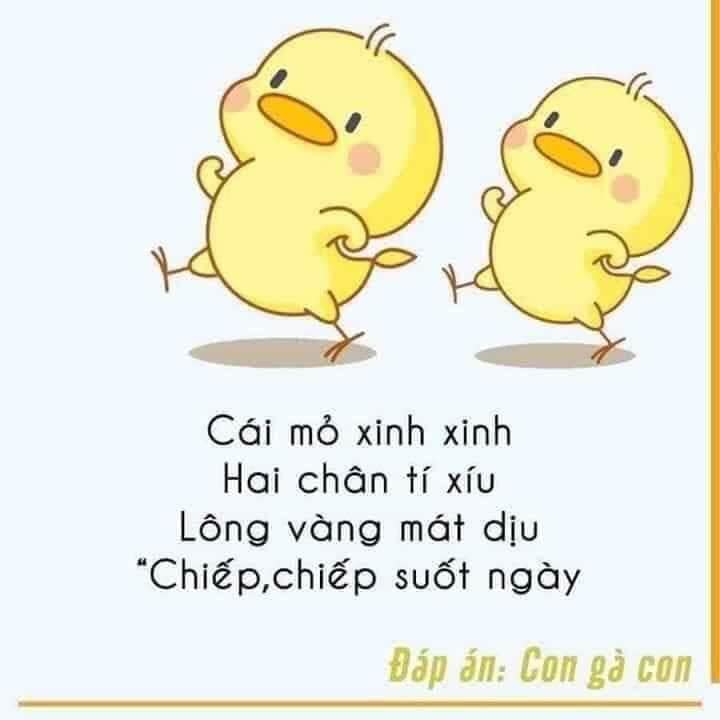 Câu đố các con vật cho bé