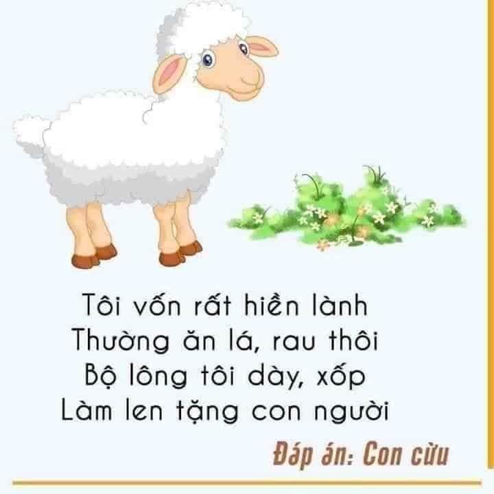 Những câu đố dành cho lớp 1