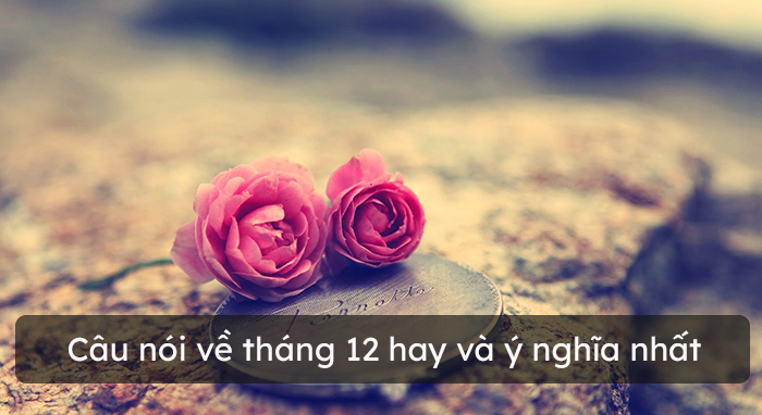 Câu nói hay về tháng 12, Stt tháng 12 hay và ý nghĩa nhất