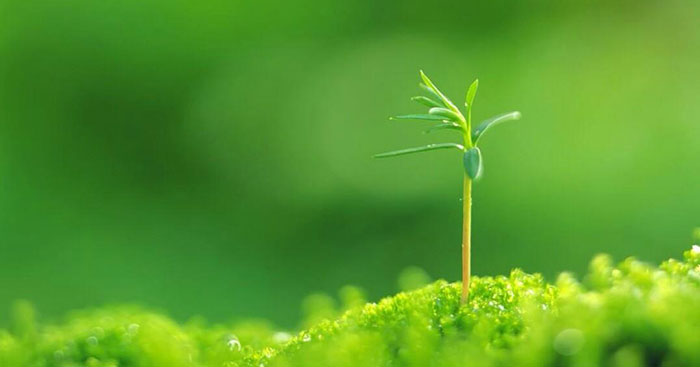 Chân lý là gì? Các đặc tính cơ bản và tiêu chuẩn của chân lý?