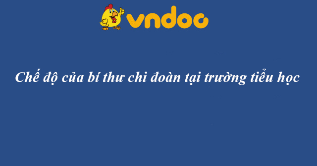 Chế độ của bí thư chi đoàn tại trường tiểu học