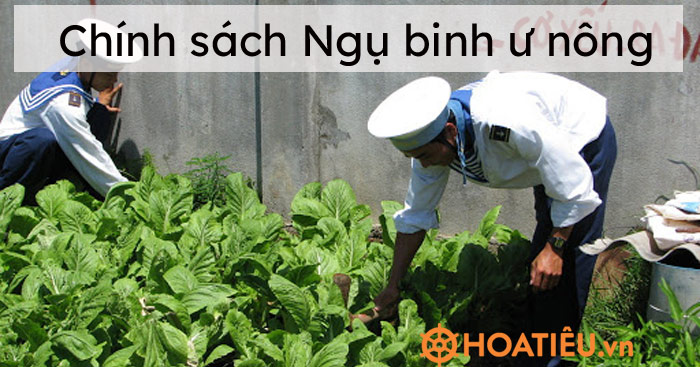 Chính sách Ngụ binh ư nông