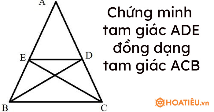 Cho tam giác ABC cân tại A. Các đường phân giác BD, CE