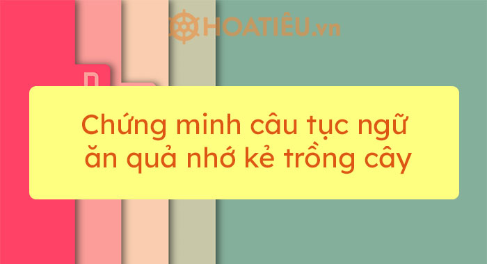 Top 7 mẫu chứng minh câu tục ngữ Ăn quả nhớ kẻ trồng cây siêu hay