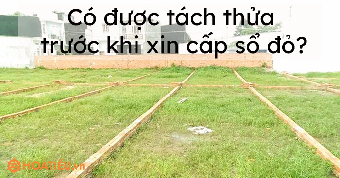 Có được tách thửa trước khi xin cấp sổ đỏ?