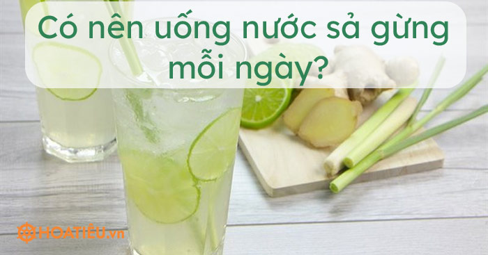 Có nên uống nước sả gừng mỗi ngày?