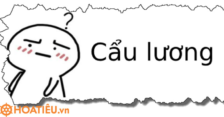 Cơm chó là gì? Cẩu lương là gì?