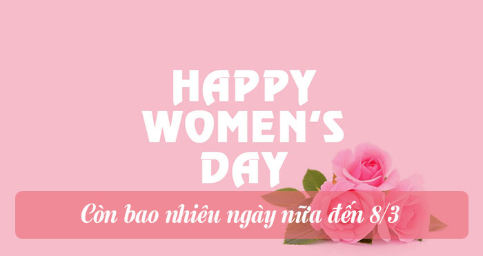 Còn bao nhiêu ngày nữa đến 8/3