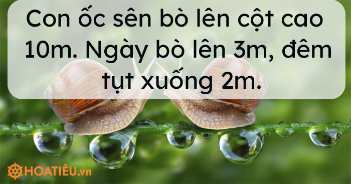 Con ốc sên bò lên cột cao 10m. Ngày bò lên 3m, đêm tụt xuống 2m.