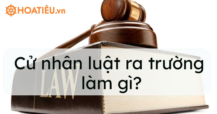 Cử nhân Luật ra trường làm gì?