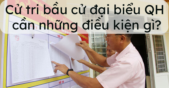 Cử tri bầu cử đại biểu Quốc hội cần những điều kiện gì?