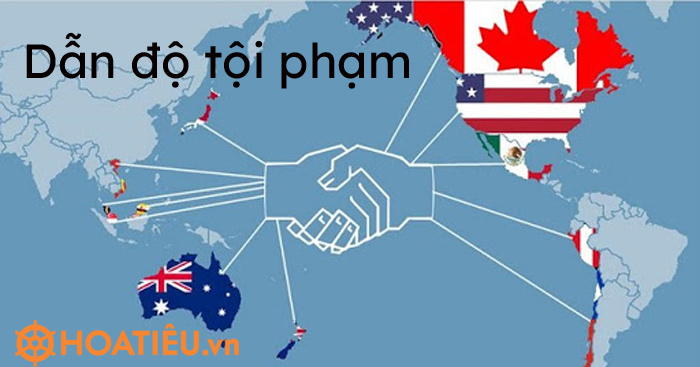 Dẫn độ là gì? Ví dụ về dẫn độ tội phạm?
