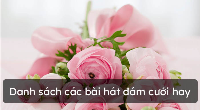 Danh sách bài hát đám cưới hay nhất