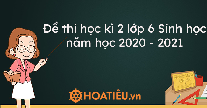 Top 3 Đề thi học kì 2 lớp 6 Sinh học năm học 2020 – 2021 kèm đáp án